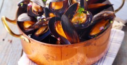 Scoici-Mussels